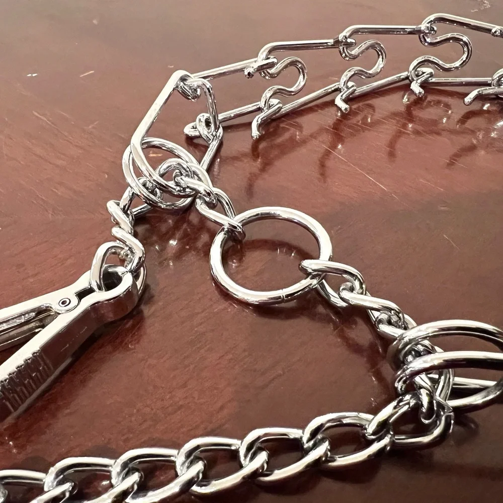 Top Paw Quick-Release Prong Collar